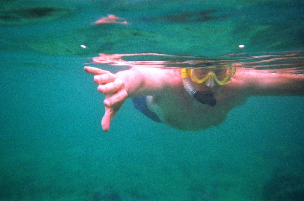 Proof that Dan did try snorkeling /