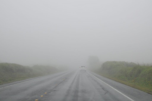 Sunny Hawaii? No!