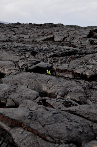 Lava at Hawai'i Volcanoes National Park, HI