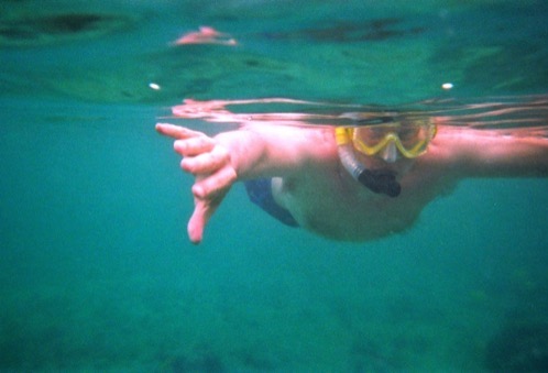 Dan snorkeling at Kahalu'u Beach... for the first time!