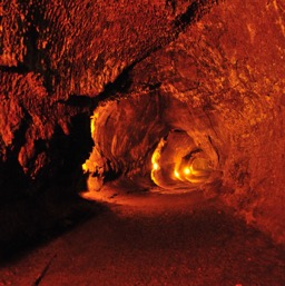 Nahuku Lava Tube/
		    