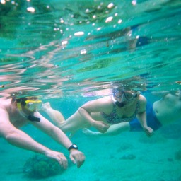 Snorkeling at Kahalu'u beach/
		    