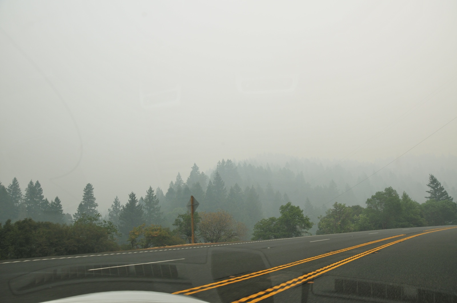 Fog? Nope! Forest fire smoke!/