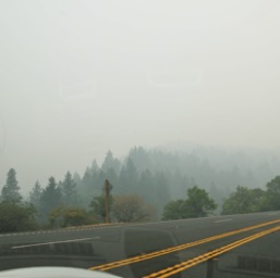 Fog? Nope! Forest fire smoke!/
		    