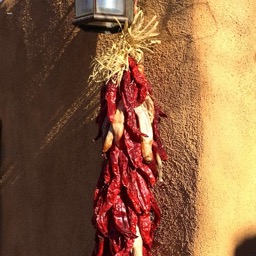 Yummy chillies/
		    