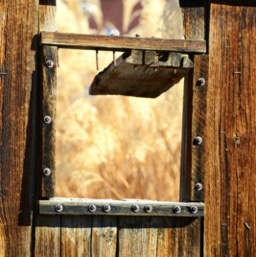 Artsy doors/
		    