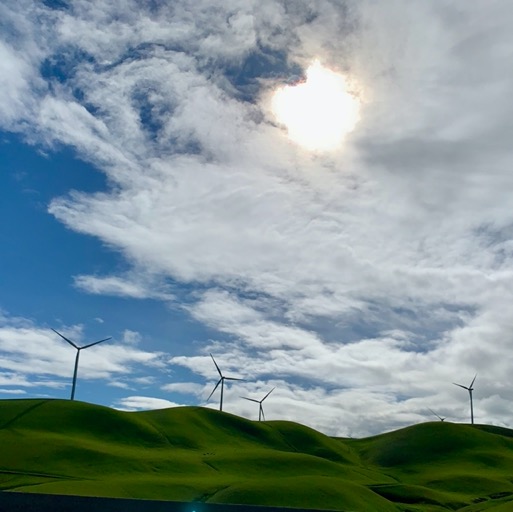 Green California -- needs happy cows/
		    