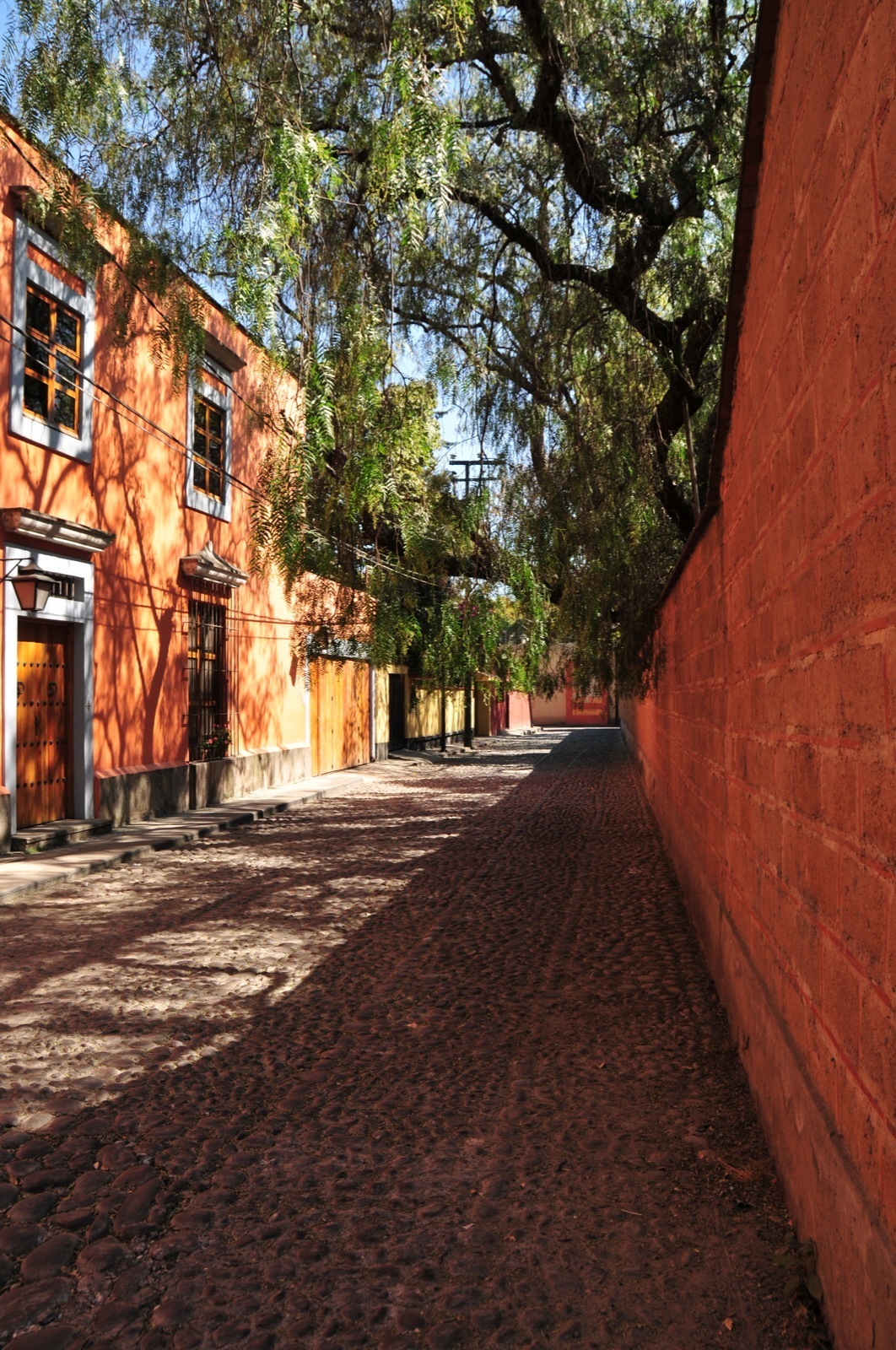 Backstreets of Coyoacán/