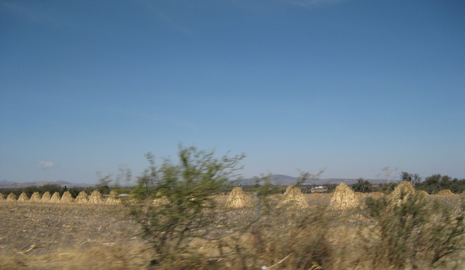 Beautiful landscape going to Guanajuato/