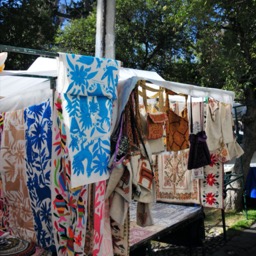 Needle work from Puebla at San Ángel market/
		    