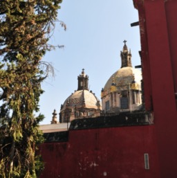 Domes of Museo del Carmen/
		    