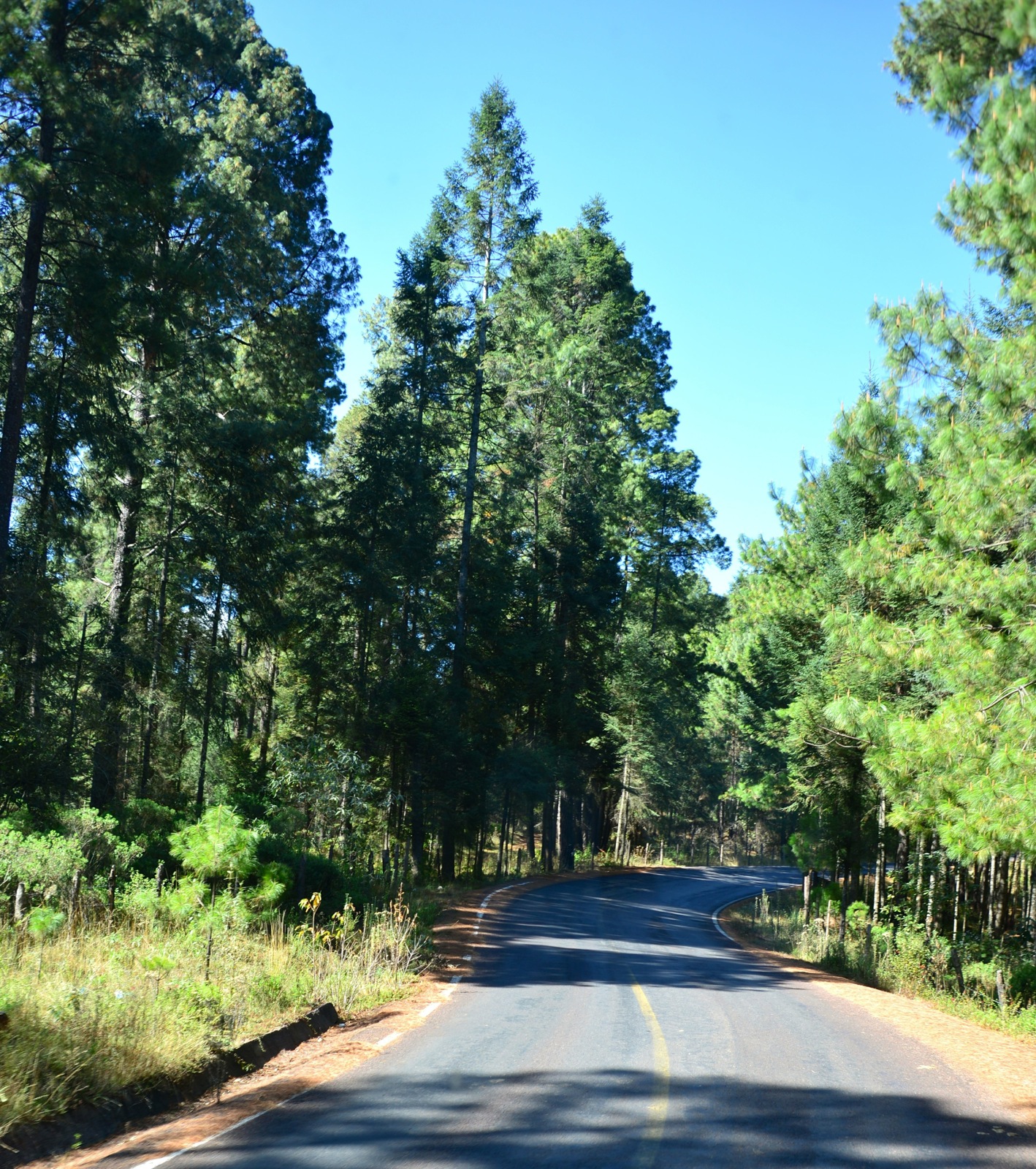 On route to Sierra Chincua/