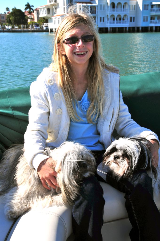 Lohren and the shitzu puppies/