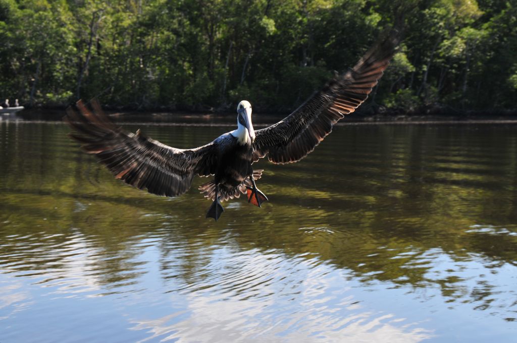 "... I'm sooo gonna check it out!"/