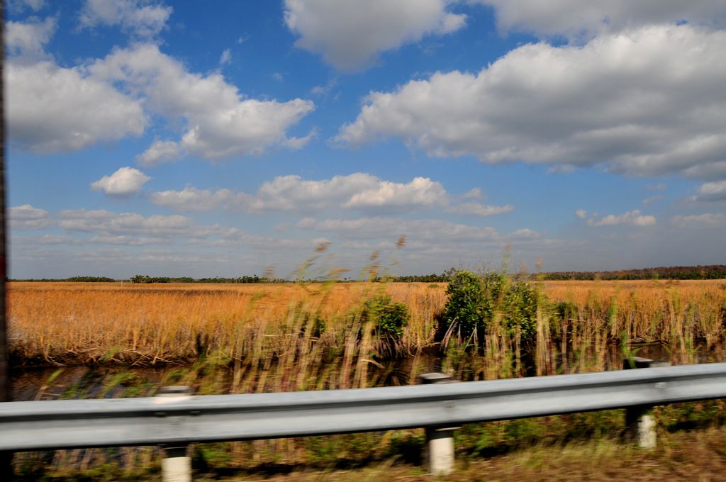 Drive-by shooting... cuz we always do it!/