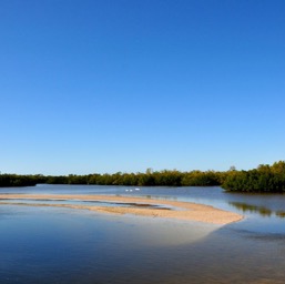 Ding Darling National Wildlife Refuge/
		    