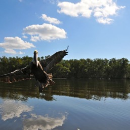 "Ooooh! A boat!"/
		    