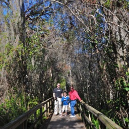 On Big Cypress Bend boardwalk/
		    