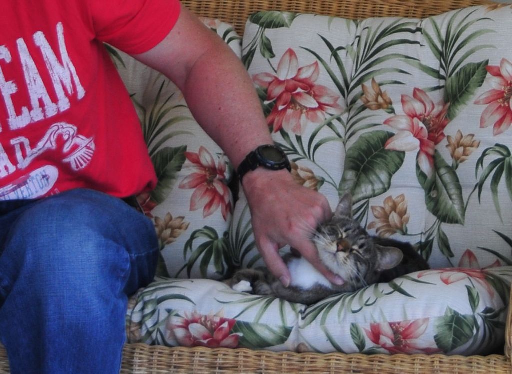 She couldn't get enough petting!/