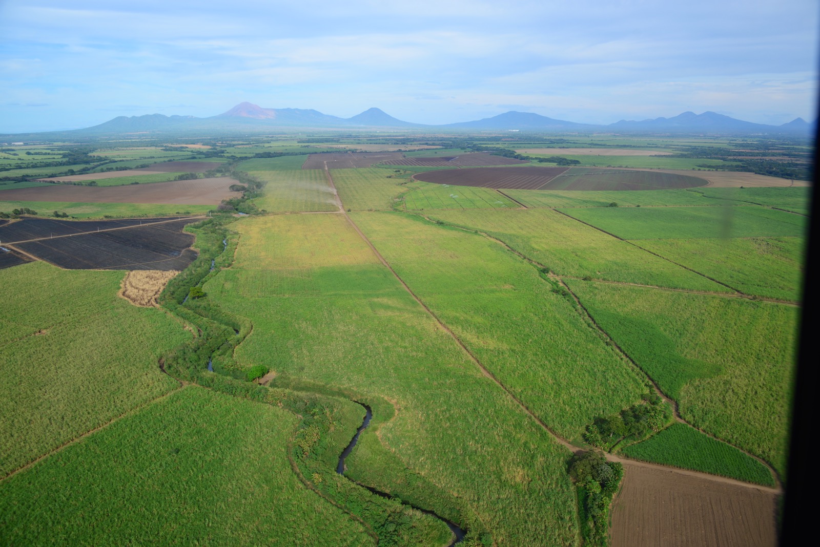 Nothing but sugar cane plantations in every direction/