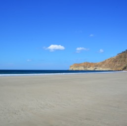 The beach/
		    