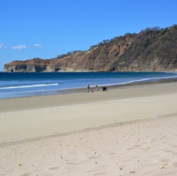 Beach sweeping crew/
		    