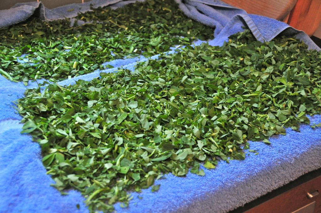 What eventually became dinner/