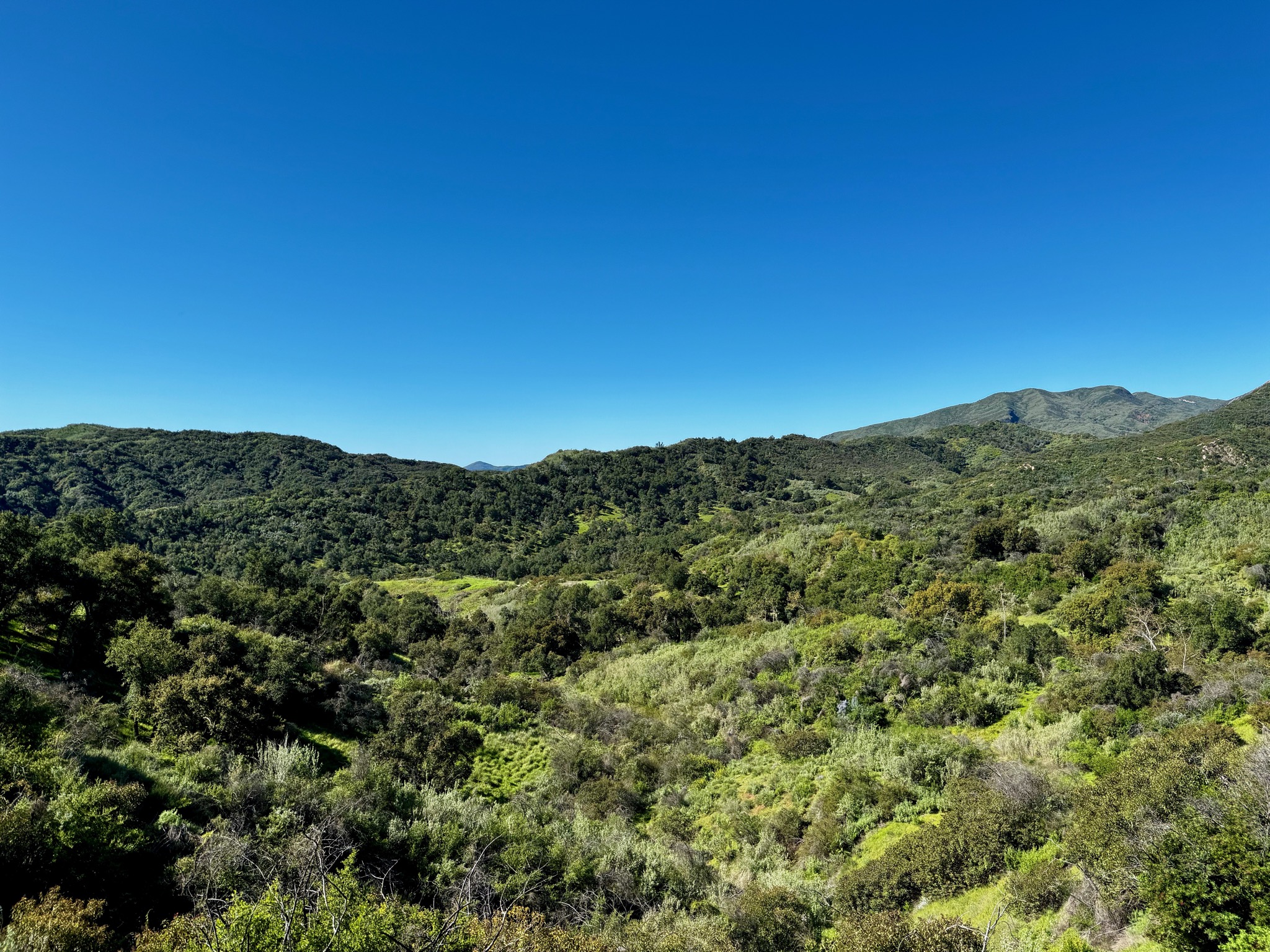 View from the ridge/