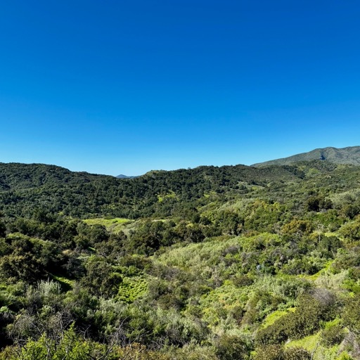View from the ridge/
		    