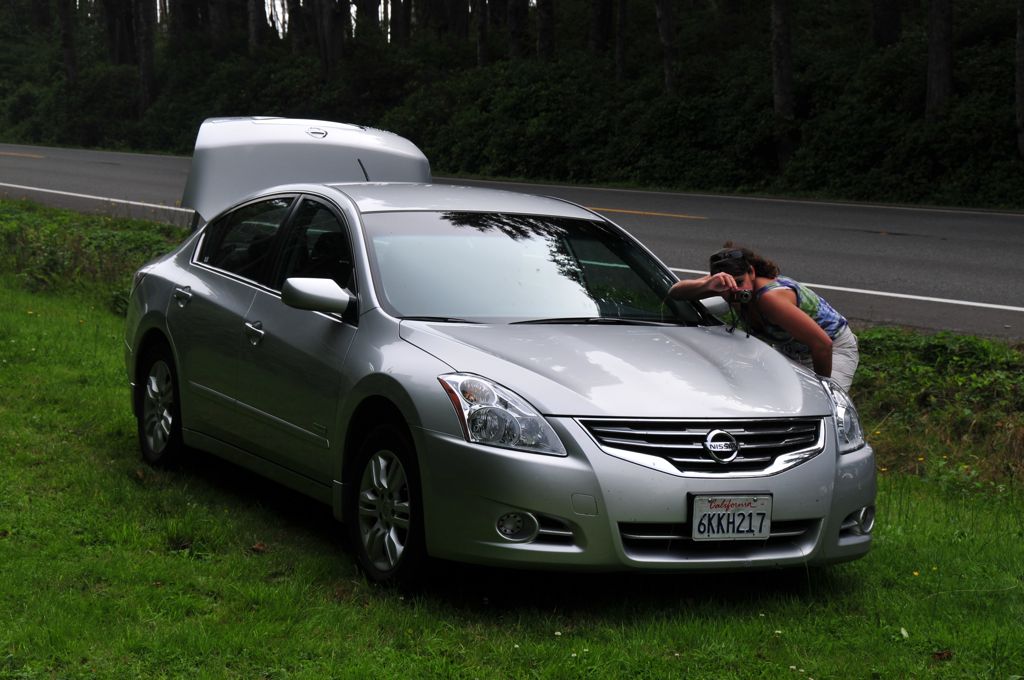 Our typical park-sign-photo tripod!/