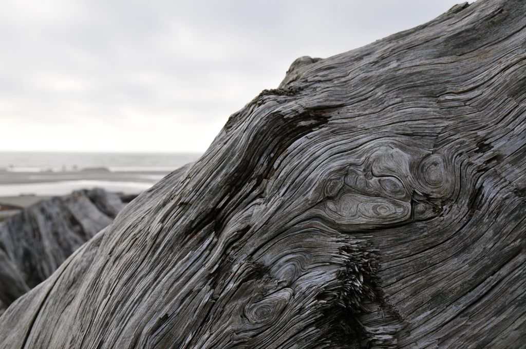 Dan's artzy wood photo/