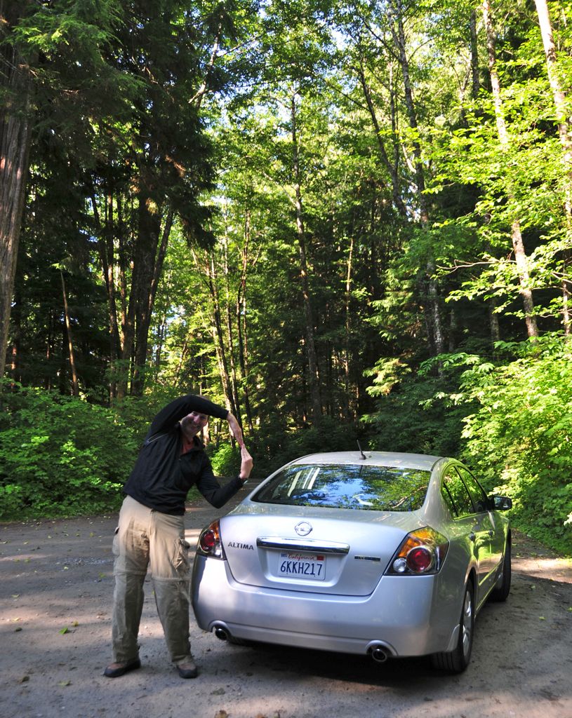 Our little Penultima... /