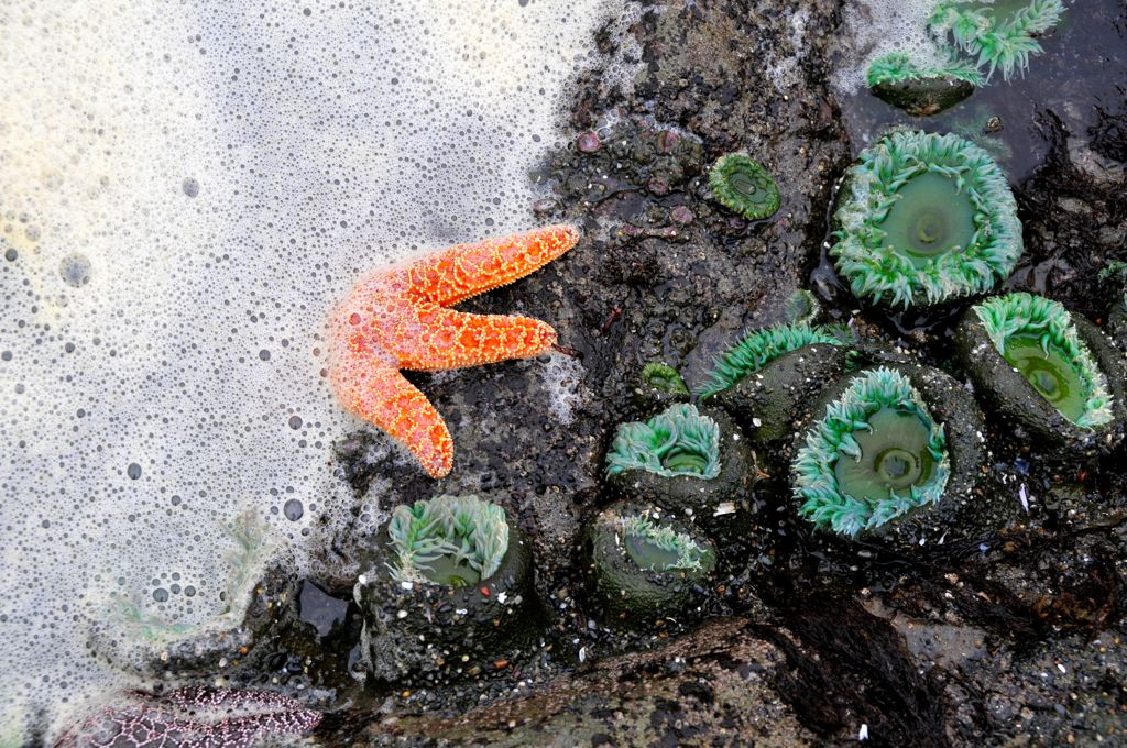 The tide kept ruining our shot!/