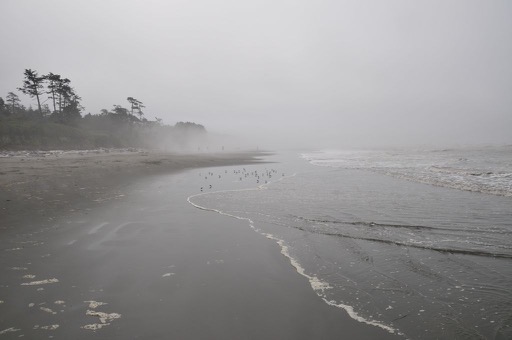 Olympic National Park, WA