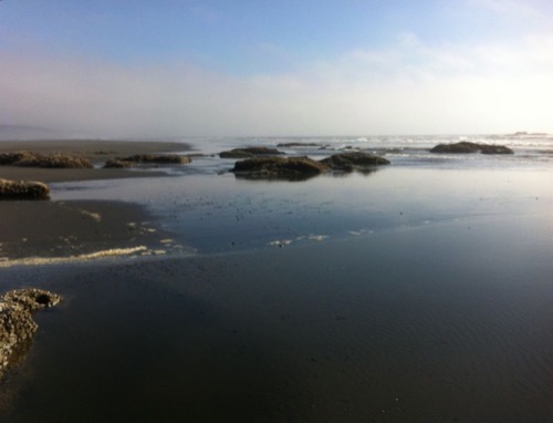 Olympic National Park, WA