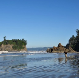 Ruby Beach/
		    