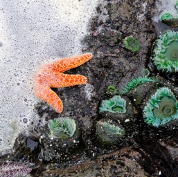 The tide kept ruining our shot!/
		    