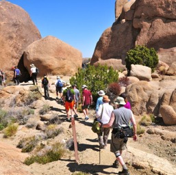 Heading off to the trail/
		    