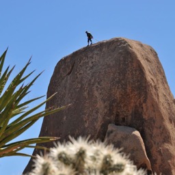 Climber dude/
		    