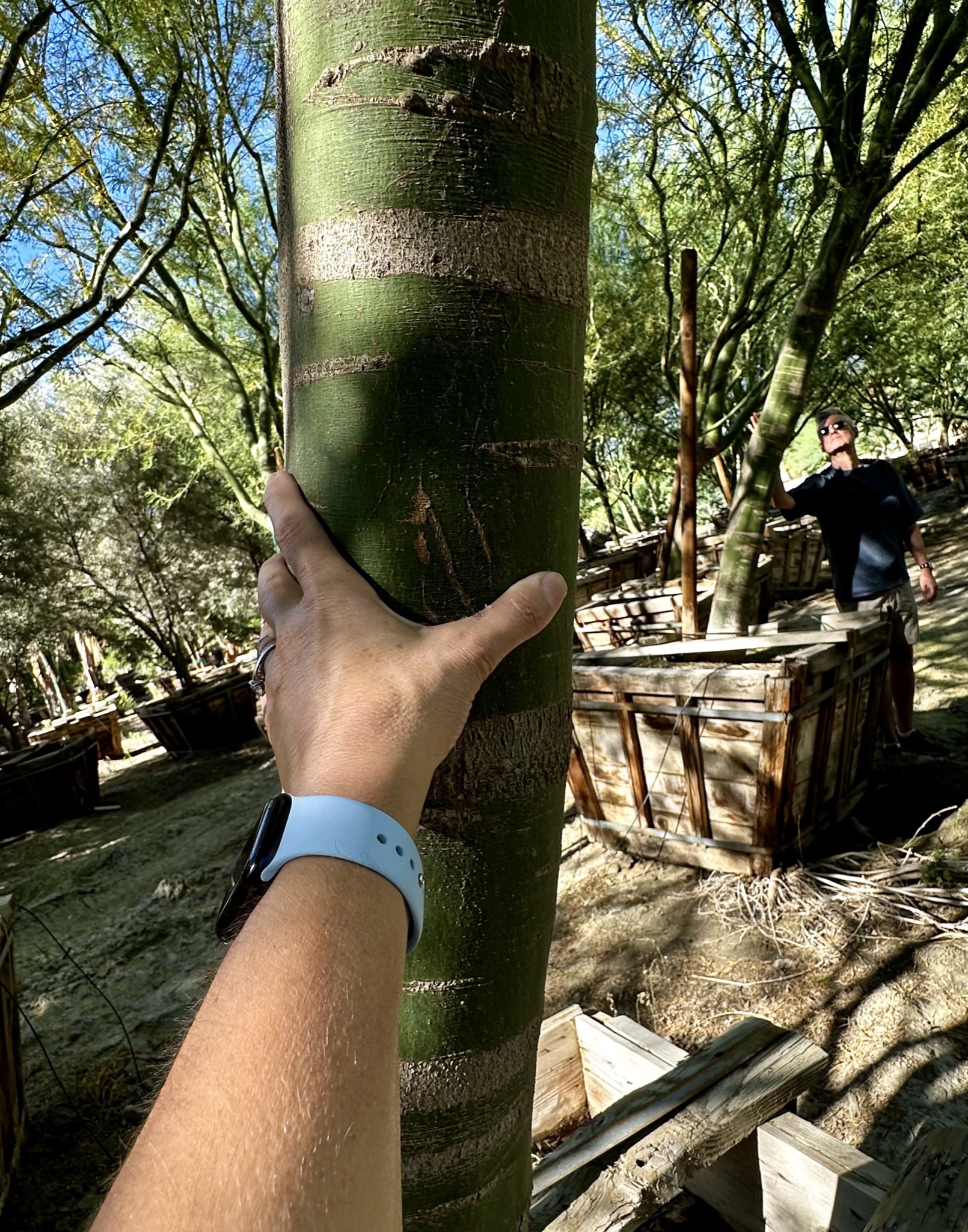 Big ass shaft!/Festival Campgrounds, 83272 51st Ave, Coachella, CA 92236, USA