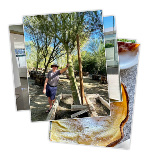 Picking out trees -- again!