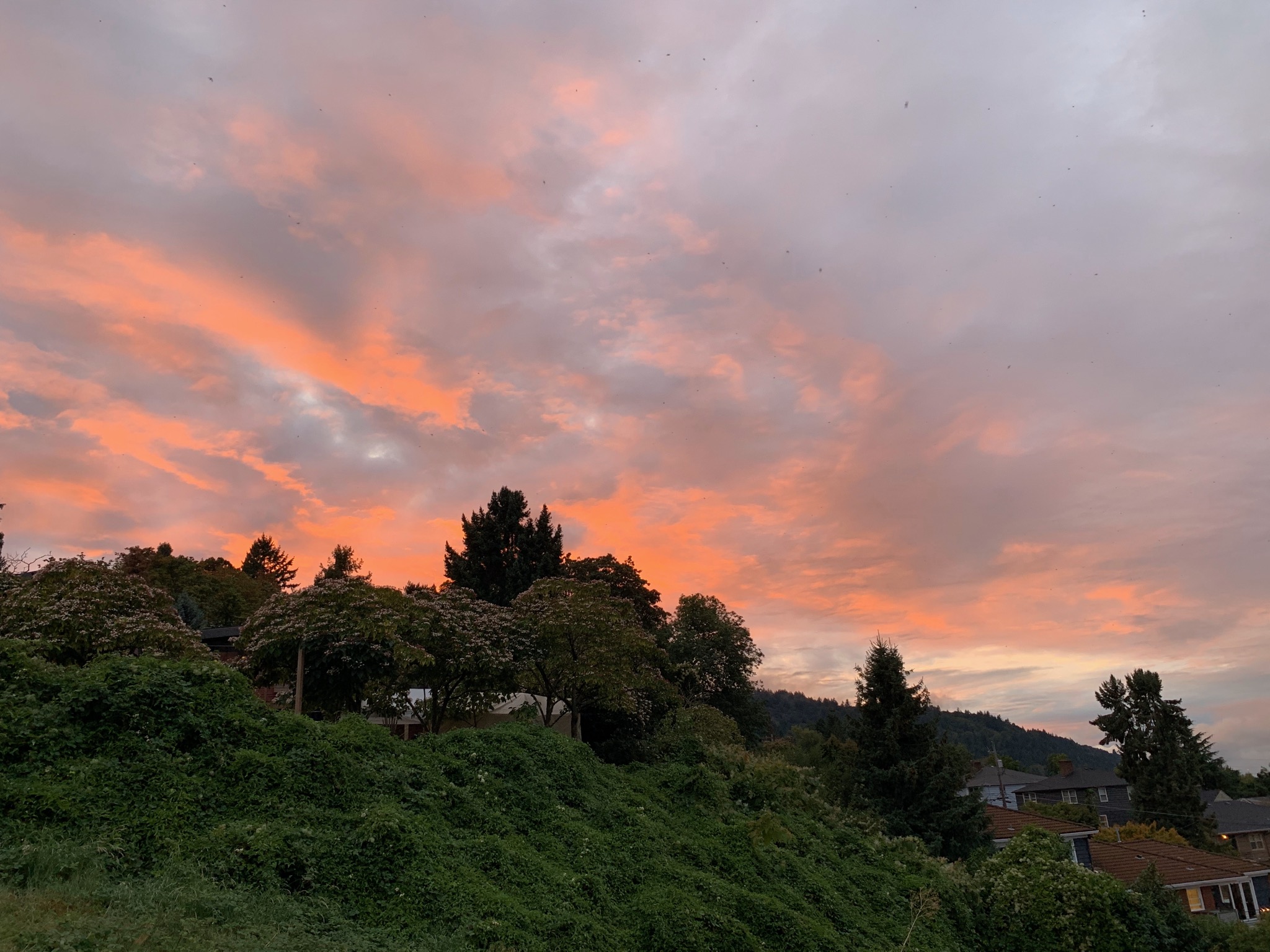 1400 NW 27th Ave, Portland, OR 97210, USA