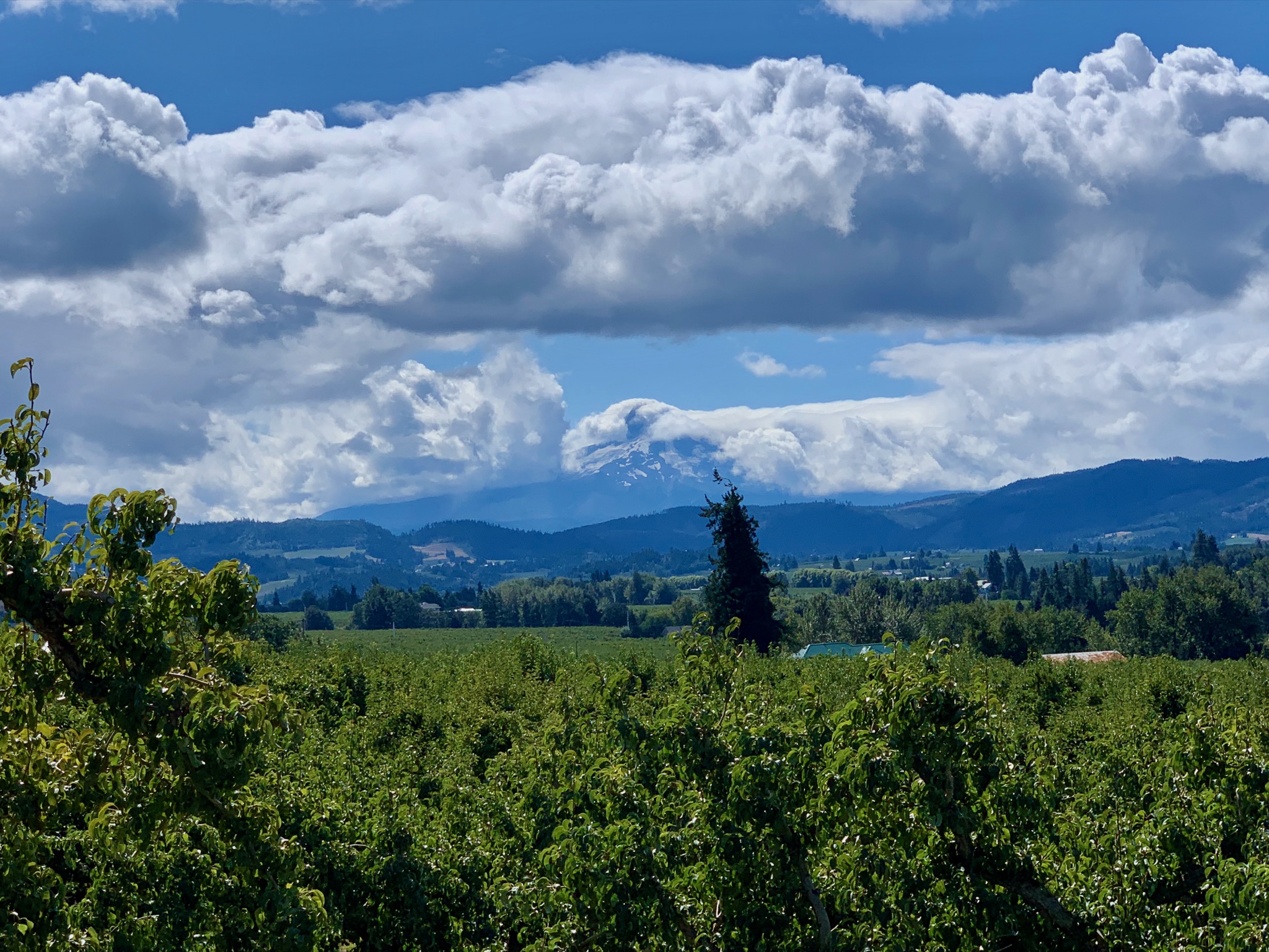 Beautiful Columbia Valley/1280 Eastside Rd, Hood River, OR 97031, USA