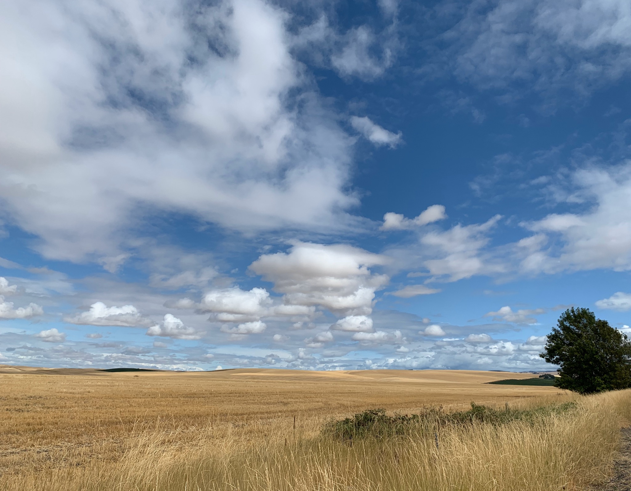 2014 Mill Creek Rd, Walla Walla, WA 99362, USA