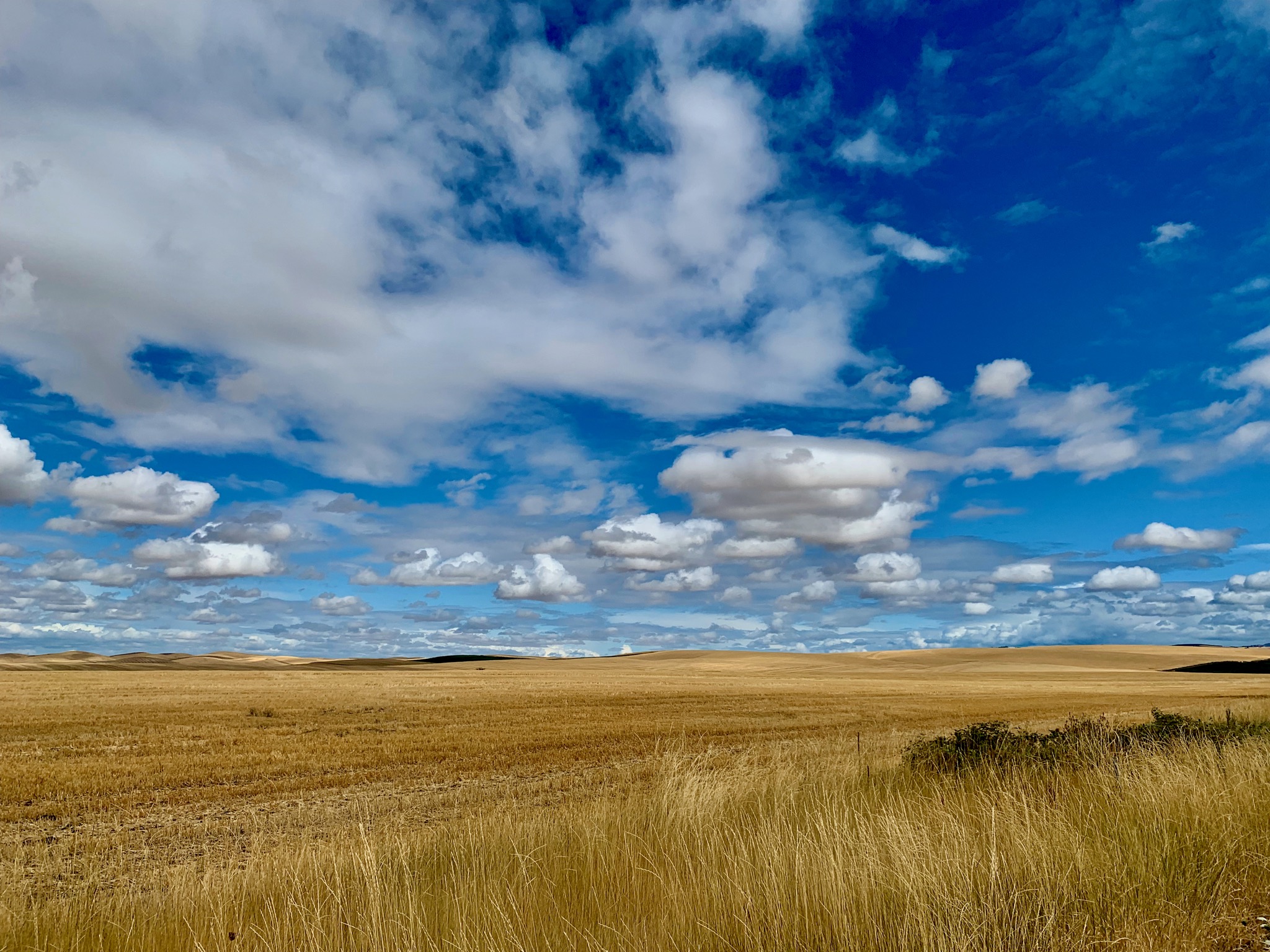 2014 Mill Creek Rd, Walla Walla, WA 99362, USA