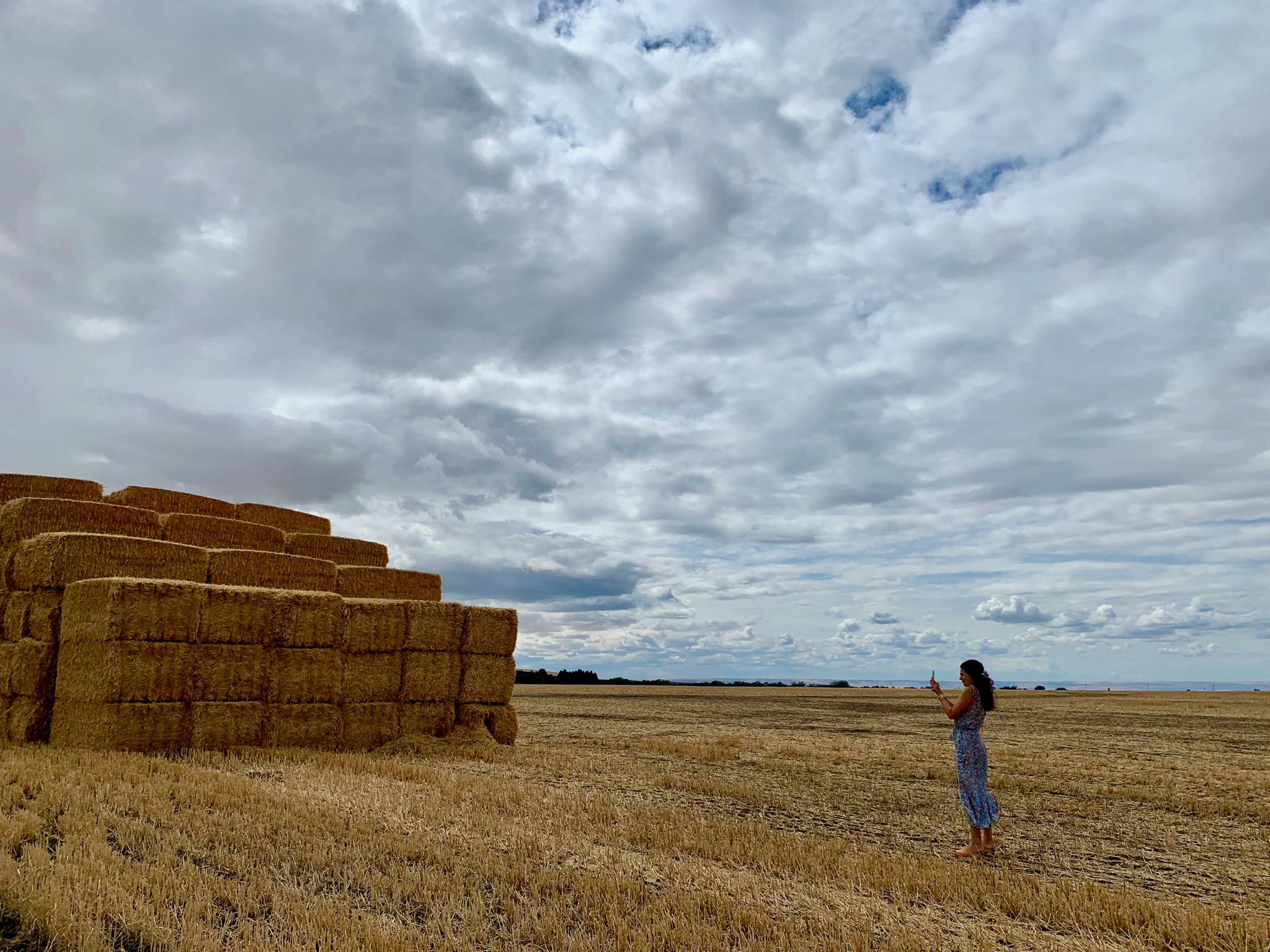 Nicole impressed by the hay/