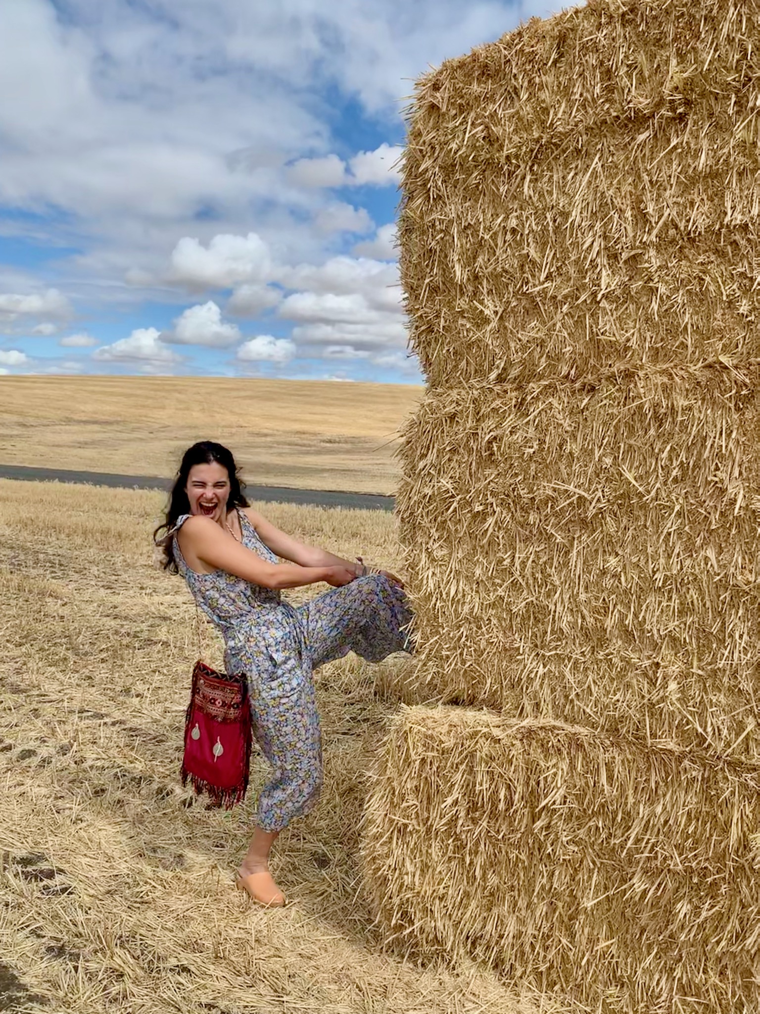 Perhaps we can take one home with us?/