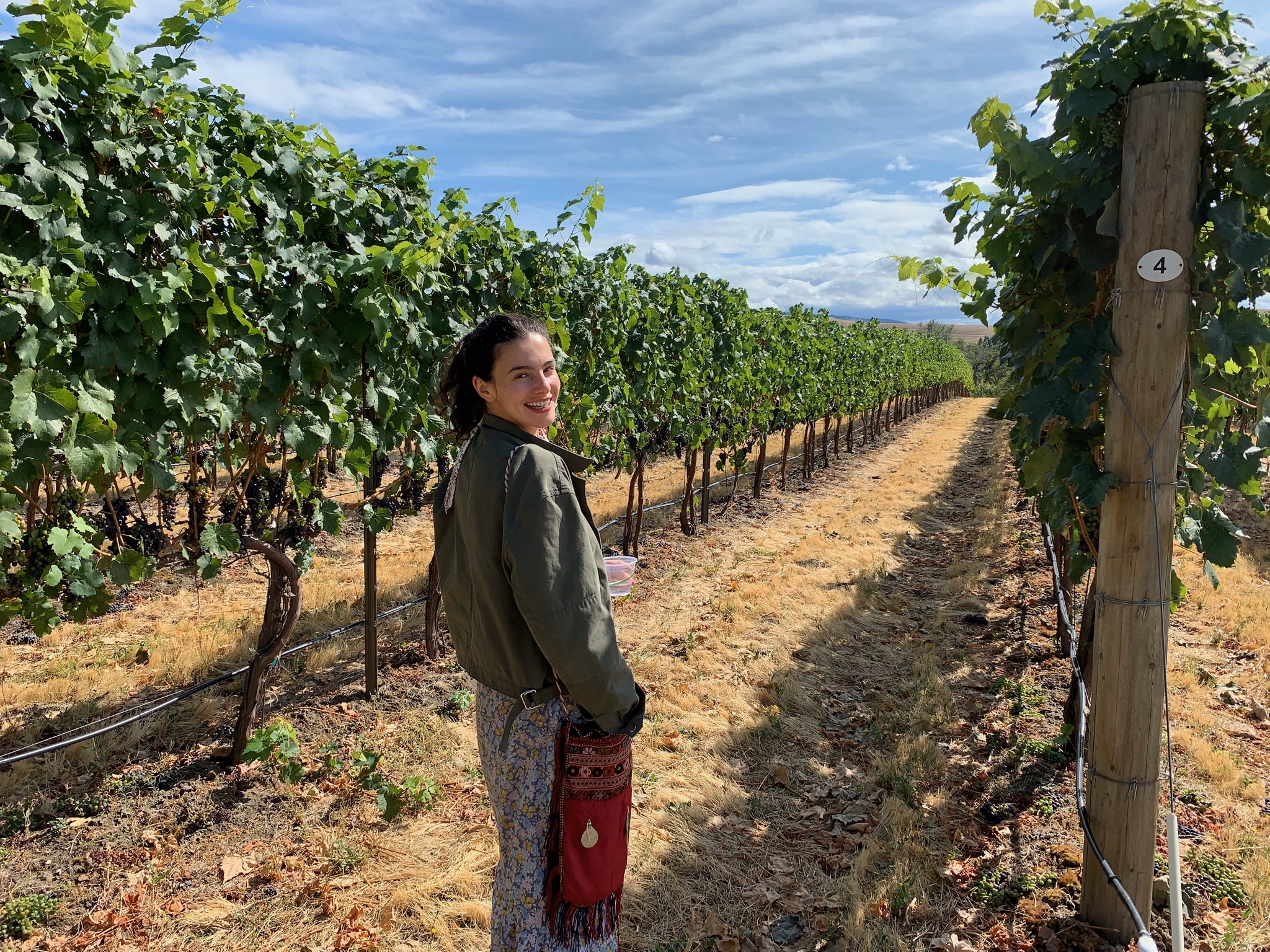 225 Vineyard Ln, Walla Walla, WA 99362, USA