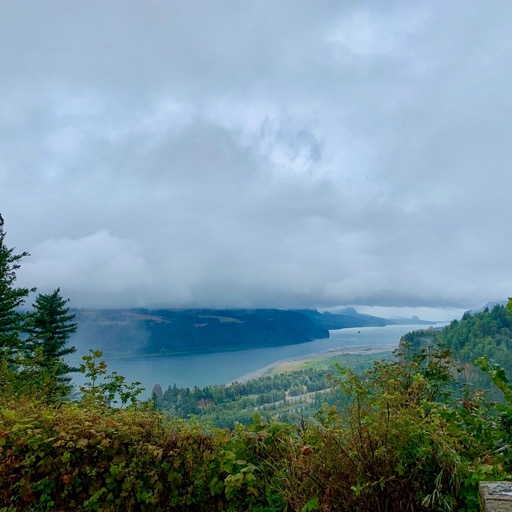 Columbia River Gorge National Scenic Area/
		    39210 Historic Columbia River Hwy, Corbett, OR 97019, USA