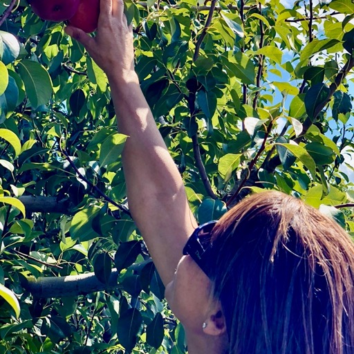 Stealing fruit/
		    